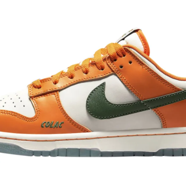 Florida a&m x nike dunk low