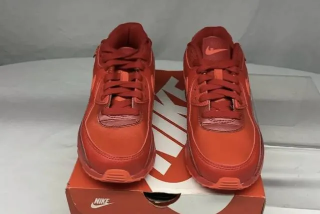 Nike air max 90 chicago city special crimson gym university triple