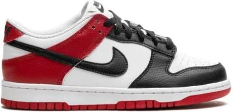 Nike Kids Dunk Low 