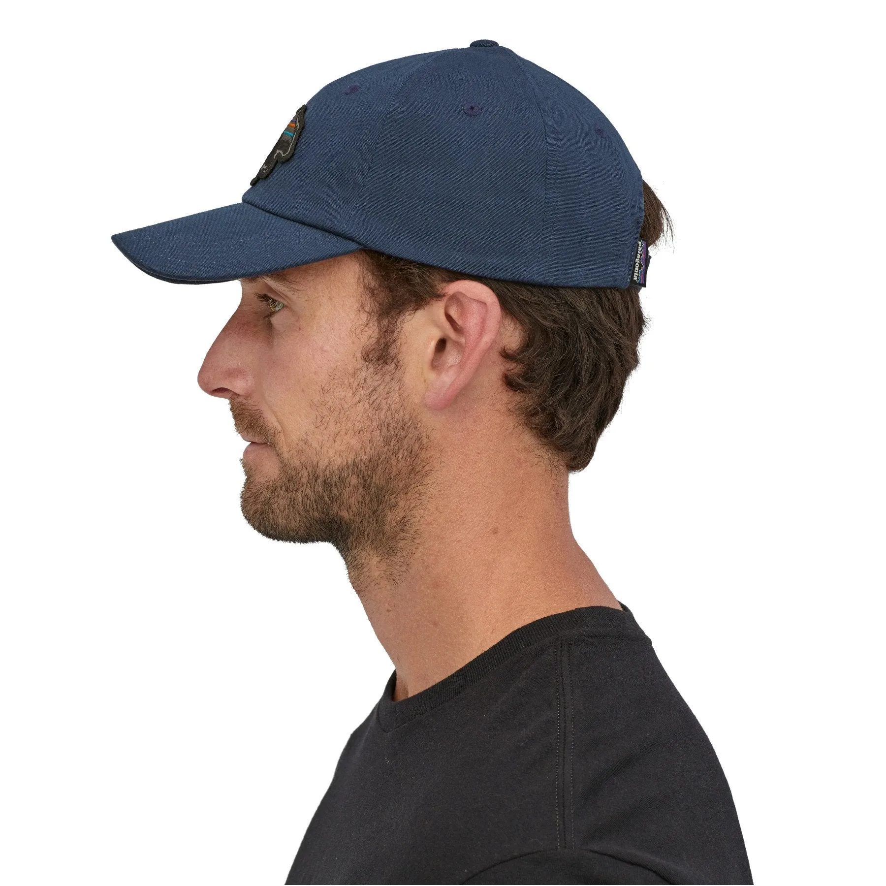 Patagonia Back for Good Trad Cap