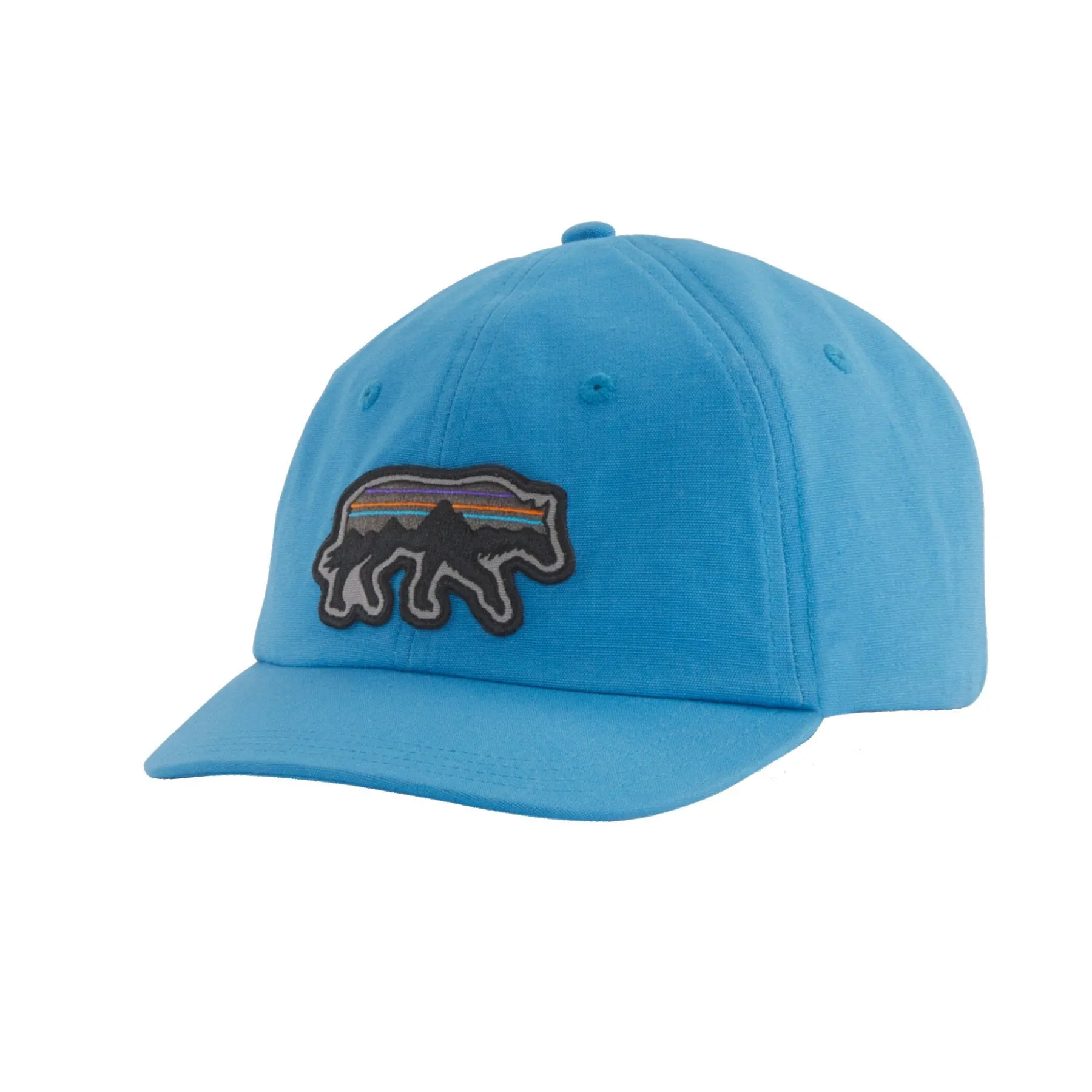 Patagonia Back for Good Trad Cap