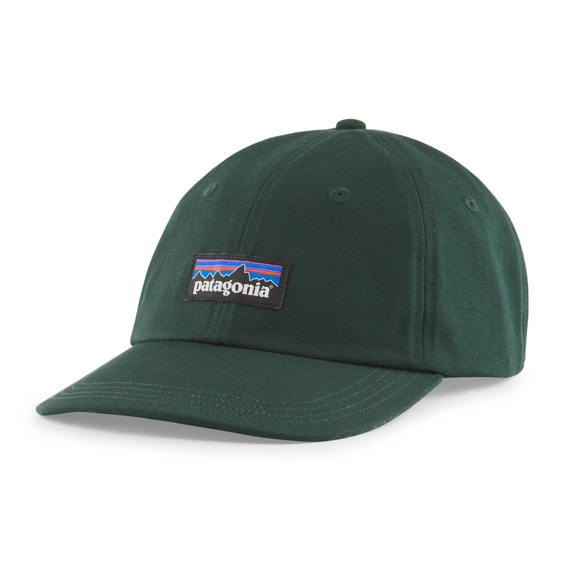 PATAGONIA P-6 LABEL TRAD CAP