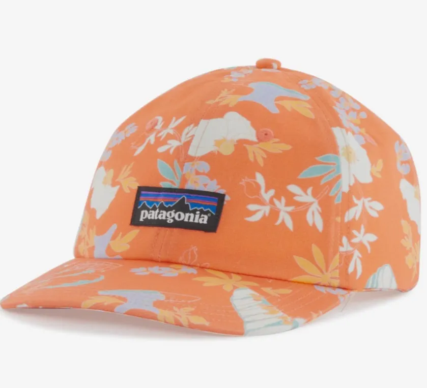 PATAGONIA P-6 LABEL TRAD CAP