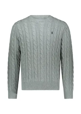 Polo Ralph Lauren LS Driver Pullover - Grey