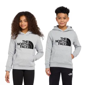 The North Face Kids' Drew Peak Hoodie | Ultimate Outdoors