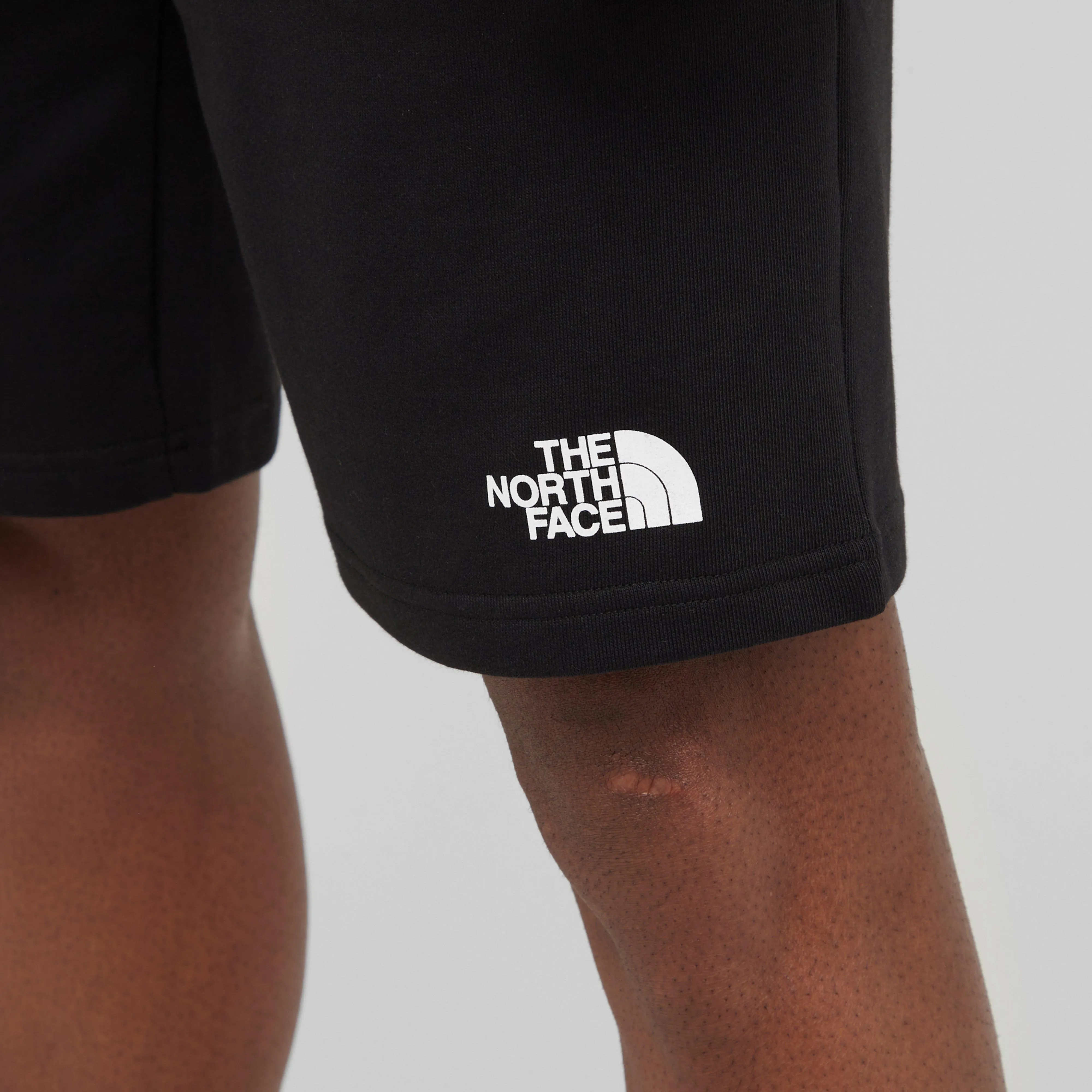 The North Face Men's Standard Light Shorts | Ultimate Outdoors